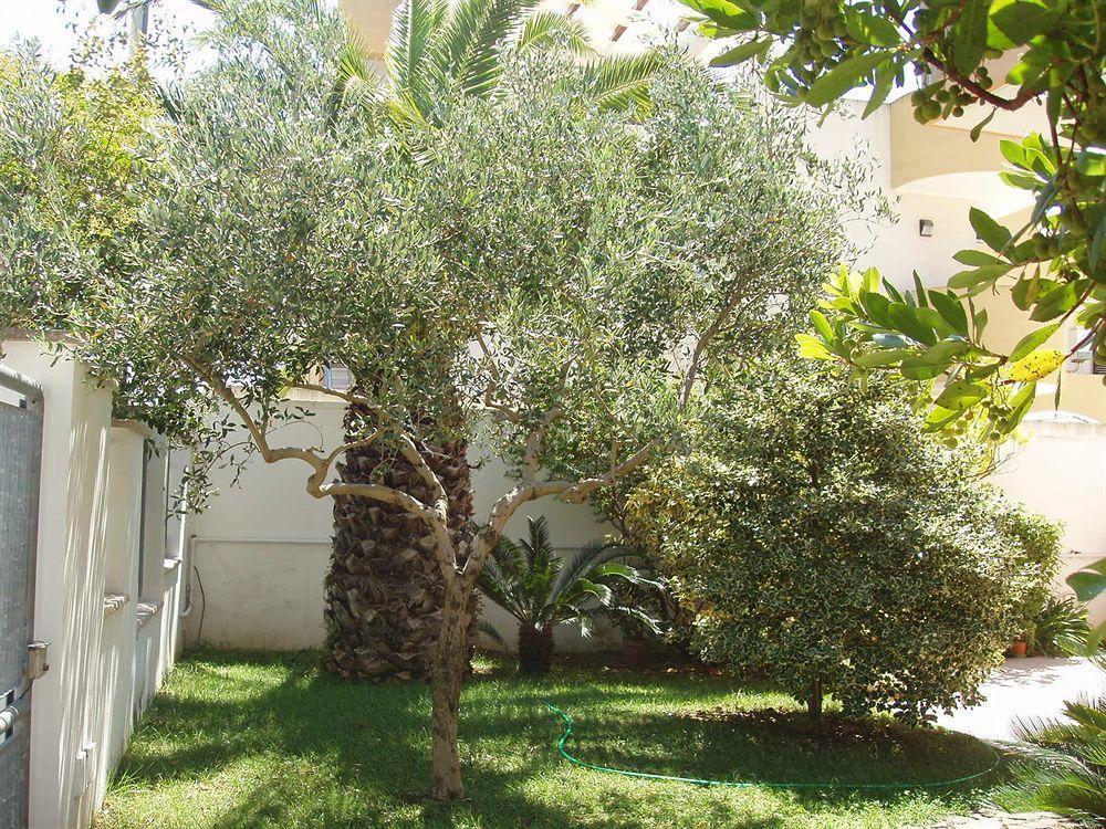 Bed and Breakfast Residenza Del Sole Surbo Exterior foto